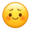 皱眉