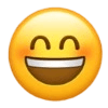 笑脸